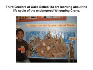 Third Graders at Oaks School #3 are learning about the