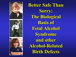Better Safe Than Sorry: The Biological Basis of