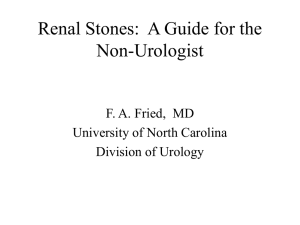 Renal Stones:  A Guide for the Non-Urologist University of North Carolina