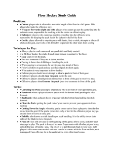 Floor Hockey Study Guide Positions