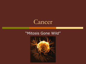 Cancer “Mitosis Gone Wild”