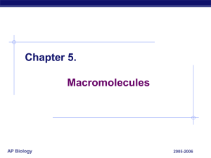 Chapter 5. Macromolecules AP Biology 2005-2006