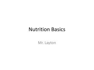 Nutrition Basics Mr. Layton