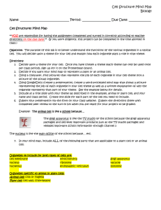 Cell Structure Mind Map Biology Name: _______________________________ Period: __________________ Due Date: ______________