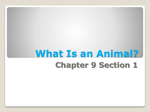 What Is an Animal? Chapter 9 Section 1