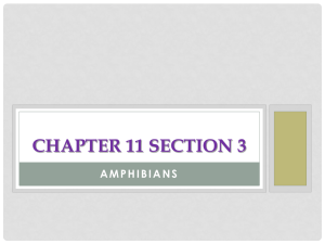 CHAPTER 11 SECTION 3