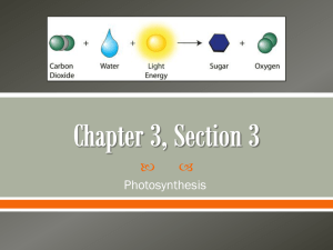   Photosynthesis
