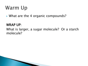 What are the 4 organic compounds? WRAP UP: molecule?
