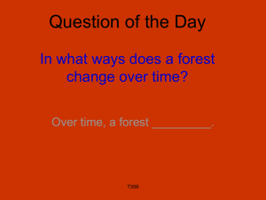 Question of the Day In what ways does a forest