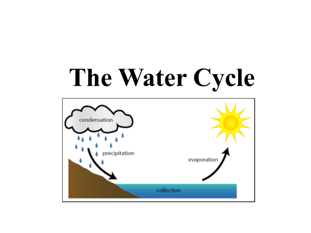 Water Cycle Condensation