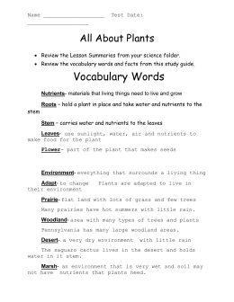 Plant Nutrients Worksheet 1