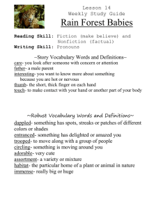 Rain Forest Babies Lesson 14 Weekly Study Guide
