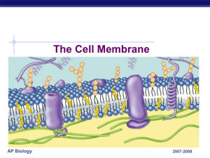 The Cell Membrane AP Biology 2007-2008