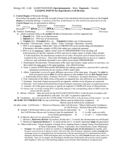 DNA Spermatogenesis TALKING POINTS for Reproductive Cell Division Division