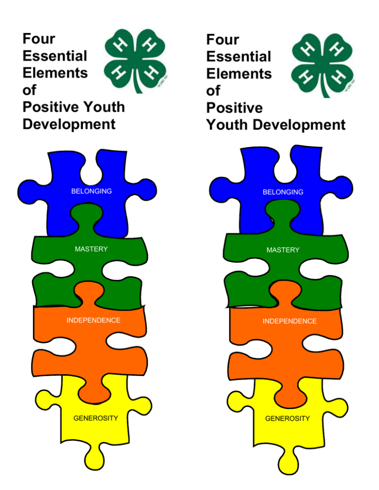 four-essential-elements-of