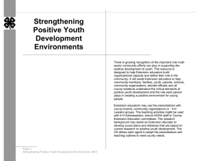 Strengthening Positive Youth Development Environments
