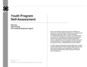 Youth Program Self-Assessment Deb Ivey