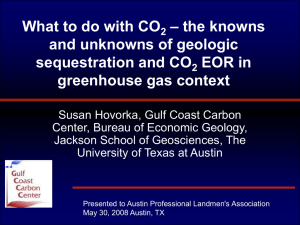 – the knowns What to do with CO and unknowns of geologic