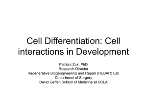 Cell Differentiation: Cell interactions in Development
