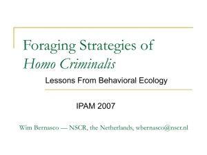 Foraging Strategies of Homo Criminalis Lessons From Behavioral Ecology IPAM 2007