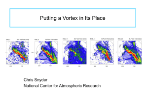 Putting a Vortex in Its Place Chris Snyder