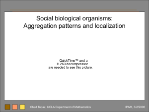 Social biological organisms: Aggregation patterns and localization QuickTime™ and a H.263 decompressor