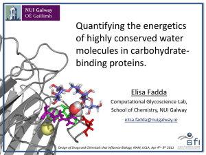 Quantifying the energetics of highly conserved water molecules in carbohydrate- binding proteins.