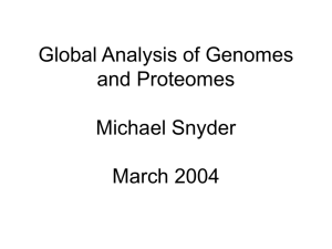 Global Analysis of Genomes and Proteomes Michael Snyder March 2004
