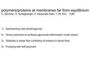 polymers/proteins at membranes far from equilibrium