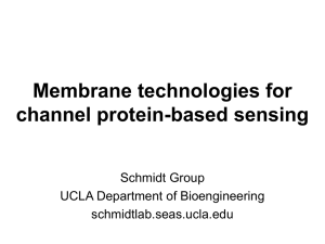 Membrane technologies for channel protein-based sensing Schmidt Group UCLA Department of Bioengineering