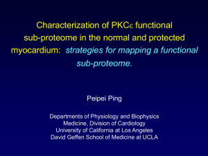 e functional Characterization of PKC sub-proteome in the normal and protected myocardium: