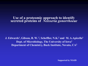 Use of a proteomic approach to identify Neisseria gonorrhoeae