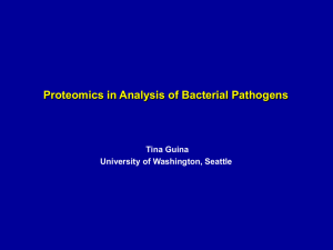 Proteomics in Analysis of Bacterial Pathogens Tina Guina University of Washington, Seattle