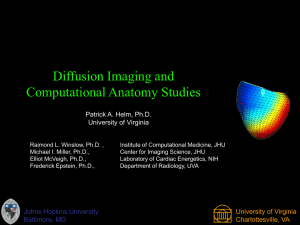 Diffusion Imaging and Computational Anatomy Studies Patrick A. Helm, Ph.D. University of Virginia