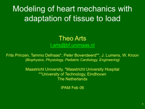 Modeling of heart mechanics with adaptation of tissue to load Theo Arts