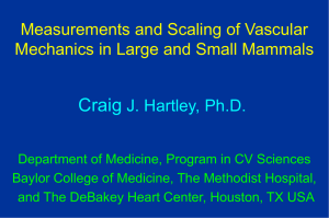 Craig J. Hartley, Ph.D. Measurements and Scaling of Vascular