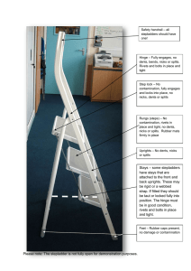 – all Safety handrail stepladders should have one!