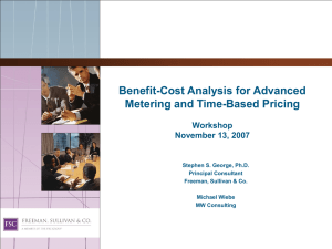 Benefit-Cost Analysis for Advanced Metering and Time-Based Pricing Workshop November 13, 2007