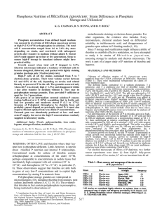 Rhizobium japonicum: Phosphorus Nutrition of Strain Differences in Phosphate Storage and Utilization