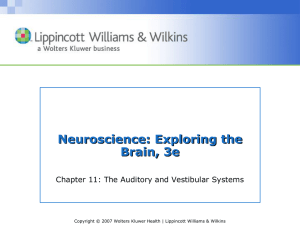 Neuroscience: Exploring the Brain, 3e Chapter 11: The Auditory and Vestibular Systems