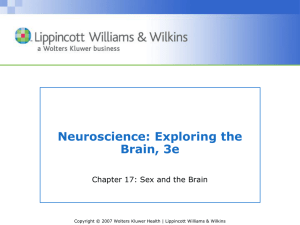 Neuroscience: Exploring the Brain, 3e Chapter 17: Sex and the Brain