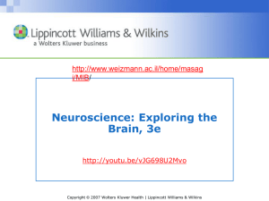 Neuroscience: Exploring the Brain, 3e  i/MIB