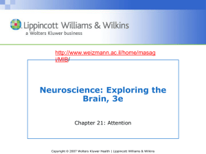 Neuroscience: Exploring the Brain, 3e  i/MIB