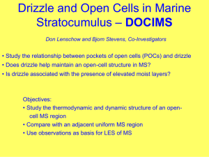 Drizzle and Open Cells in Marine DOCIMS Stratocumulus
