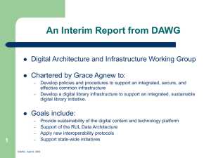 An Interim Report from DAWG Digital Architecture and Infrastructure Working Group 