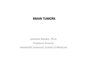 BRAIN TUMORS Jeanette Norden, Ph.D. Professor Emerita Vanderbilt University School of Medicine