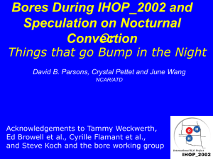 Bores During IHOP_2002 and Speculation on Nocturnal Convection Or