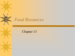 Food Resources Chapter 13