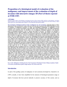 Proposition of a histological model of evaluation of the
