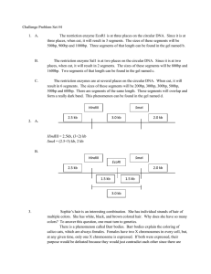 Challenge Problem Set #4 1.  A.